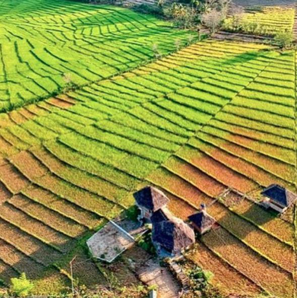 Tado Homestay Limbung Luaran gambar